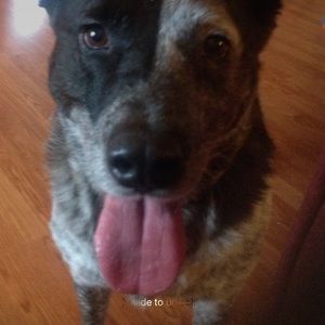 Meet your Posher, Michele